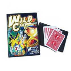 DVD Wild Card con cartas especiales