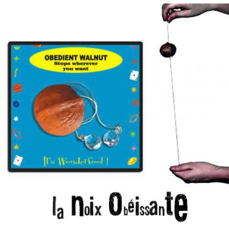 Obedient Walnut